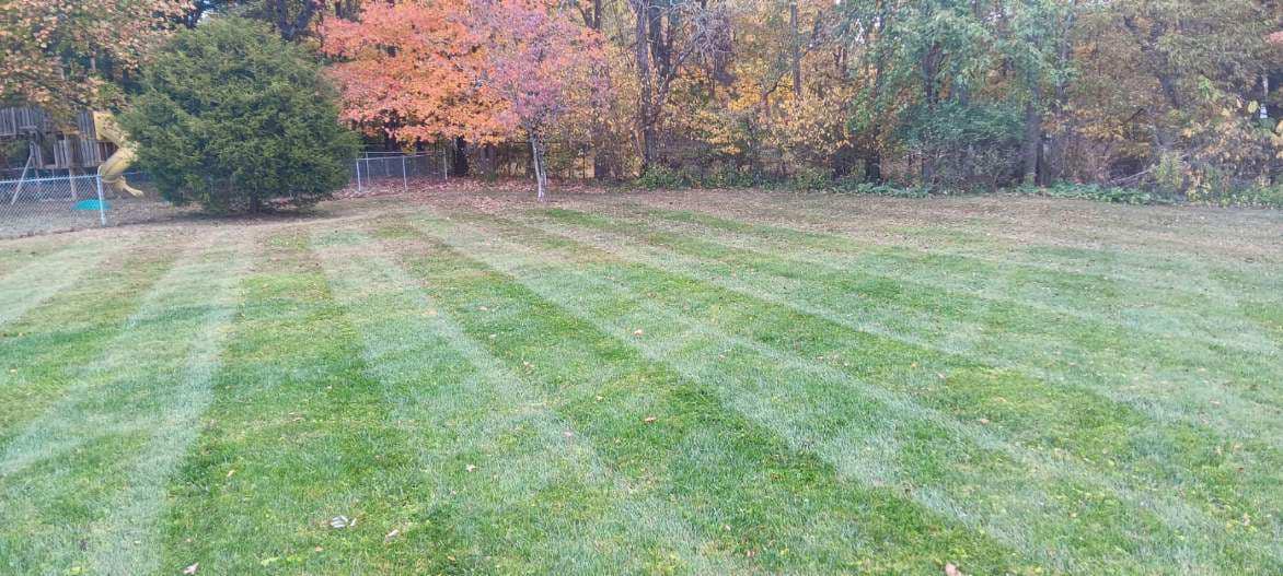 A freshly mowed lawn against a backdrop of fall trees, part of a Anthony's fall clean up service