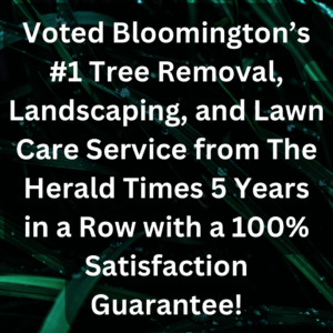Best Tree service in bloomington in