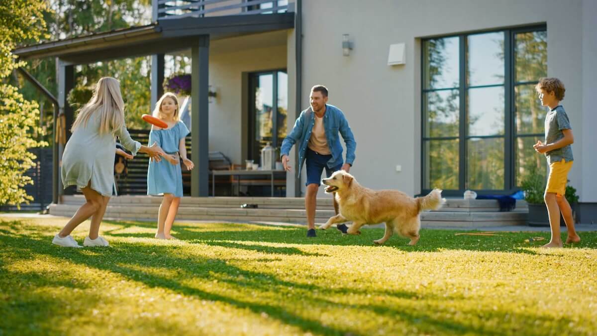 A family in Bloomington plays with their dog on a landscaped lawn