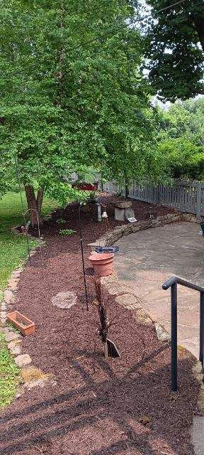 A landscaped pathway leads toward a tree in Bloomington Indiana