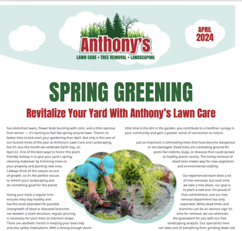 April '24 Newsletter
