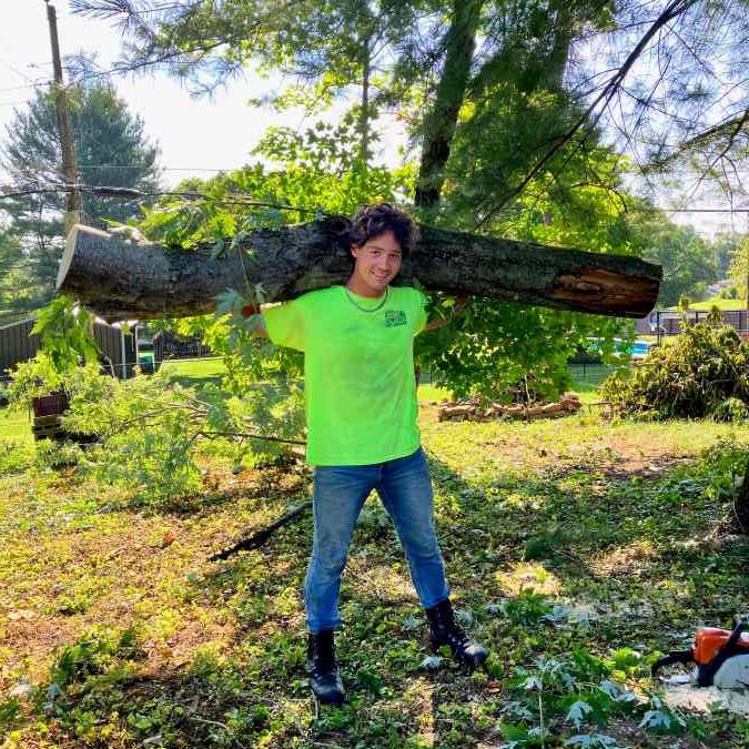 A young man from Anthony's Tree Service carries a large tree stump on his shoulders