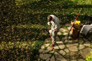 man raking leaves on sunny autumn day in back yard