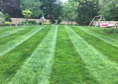 Perfectly Mowed Lawn with lines