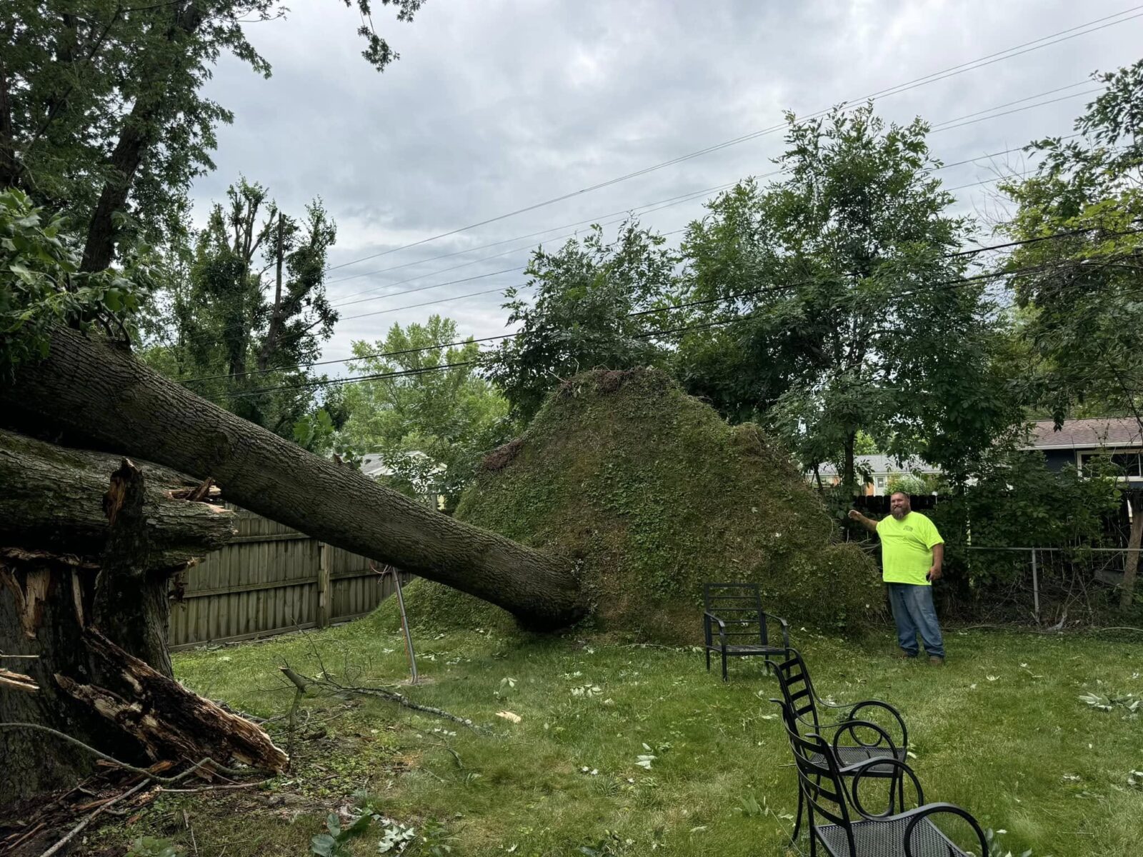 Tree Service in Bloomington, IN | Trimming & Removal - Anthonys Lawn ...