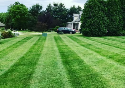 Anthony's Lawn Care and Landscaping in Bloomington, IN