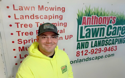 Top 5 Signs Your Lawn Needs Professional Help (And How We Can Fix It)