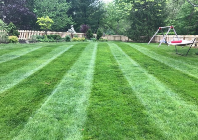 Anthony's lawncare and landscaping