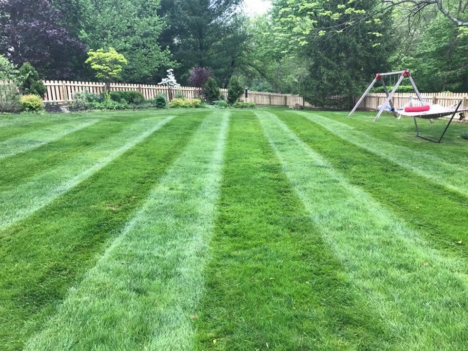 When to hire a lawn care service