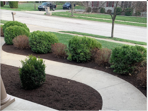 Hire a landscaper in Bloomington