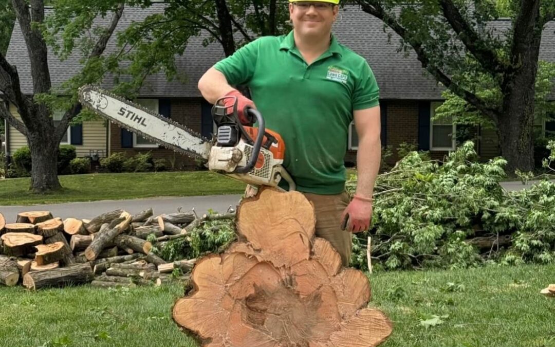 Anthony stands at the trunk of a recently removed tree with a chainsaw